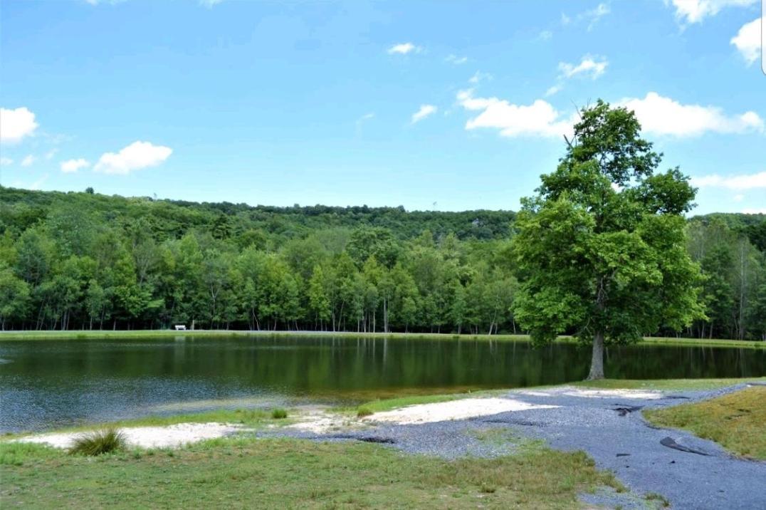 *Amenity-Filled Waterfront Oasis @Saw Creek Estates Near Waterfalls And Hiking* イースト・ストラウズバーグ エクステリア 写真