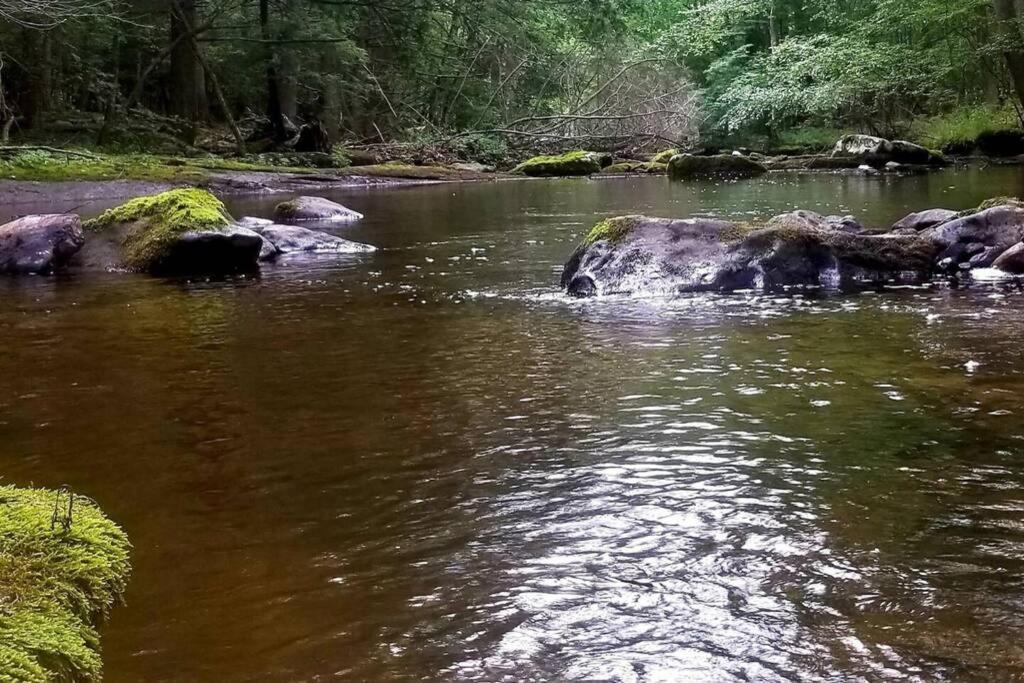 *Amenity-Filled Waterfront Oasis @Saw Creek Estates Near Waterfalls And Hiking* イースト・ストラウズバーグ エクステリア 写真