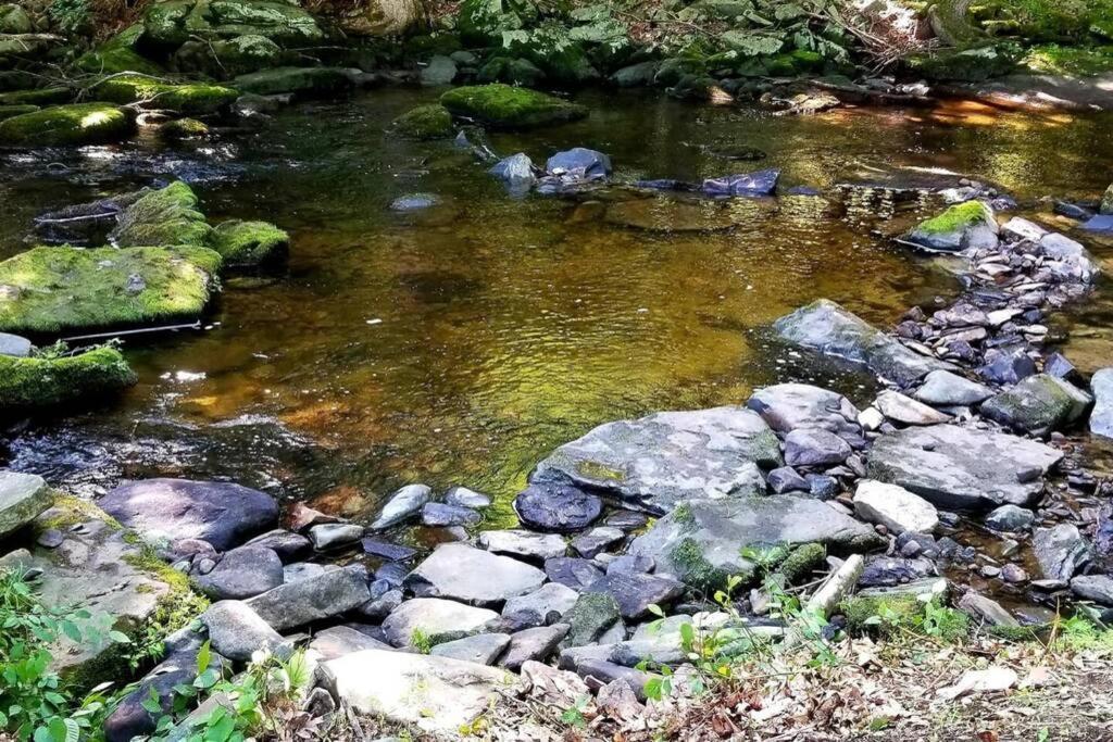 *Amenity-Filled Waterfront Oasis @Saw Creek Estates Near Waterfalls And Hiking* イースト・ストラウズバーグ エクステリア 写真